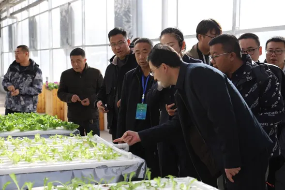 融合產教資源 推進種業(yè)振興 敦煌種業(yè)等三家單位聯(lián)合成立全國現(xiàn)代種業(yè)技術產教融合共同體